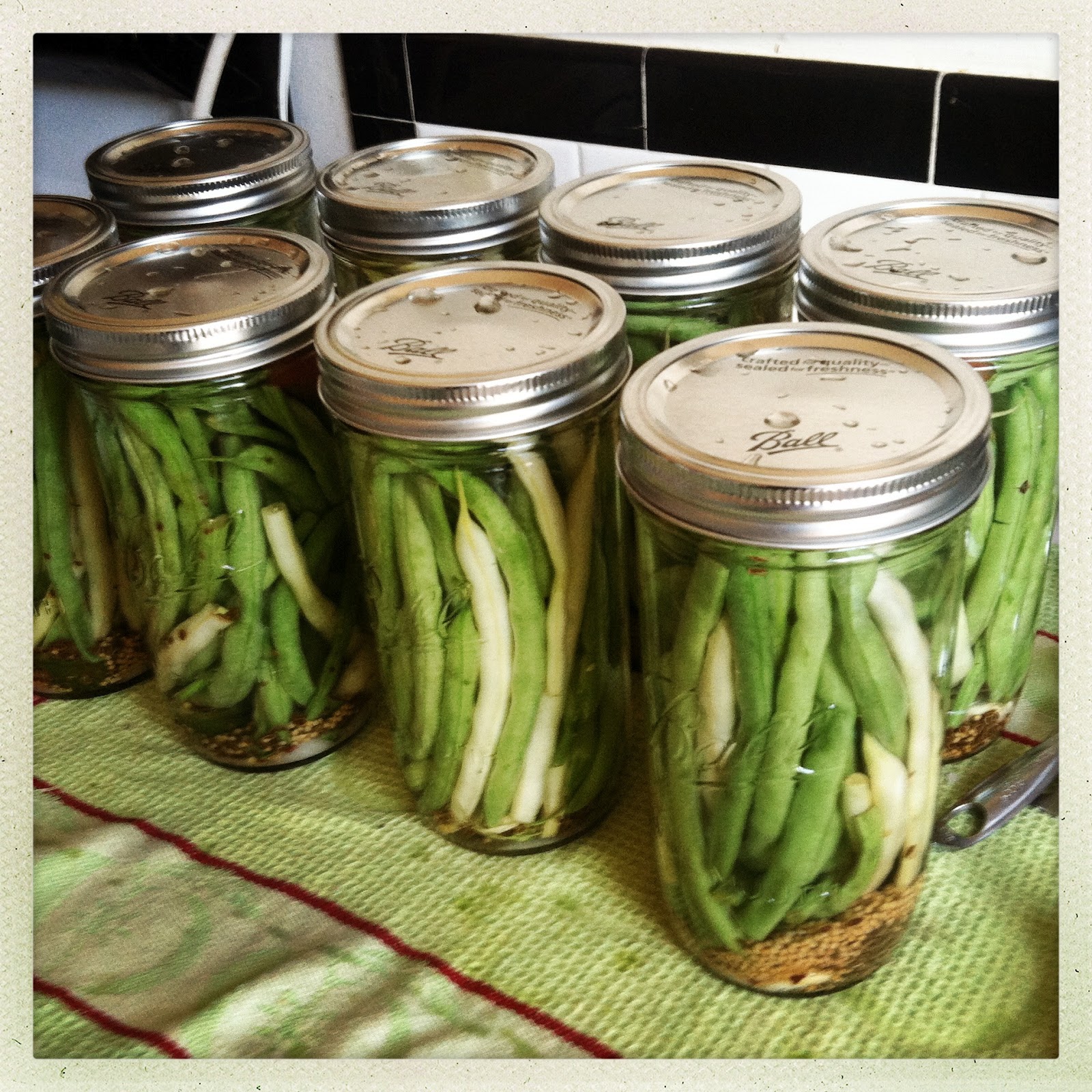 CanCan Spicy Pickled Green Beans