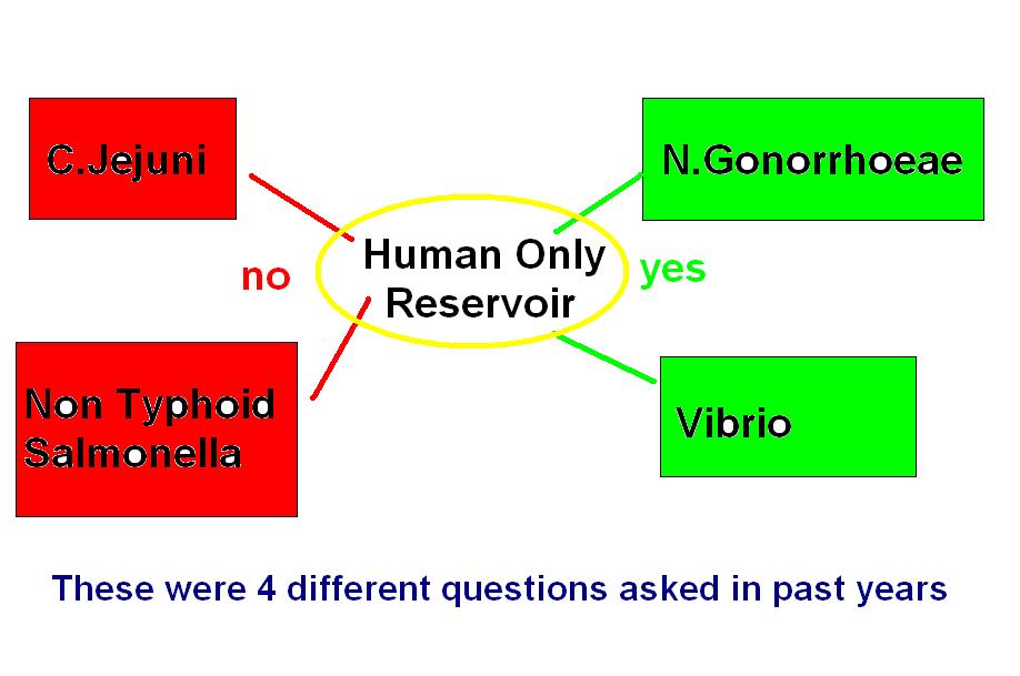 MedicoNotebook Human as the Only Reservoir