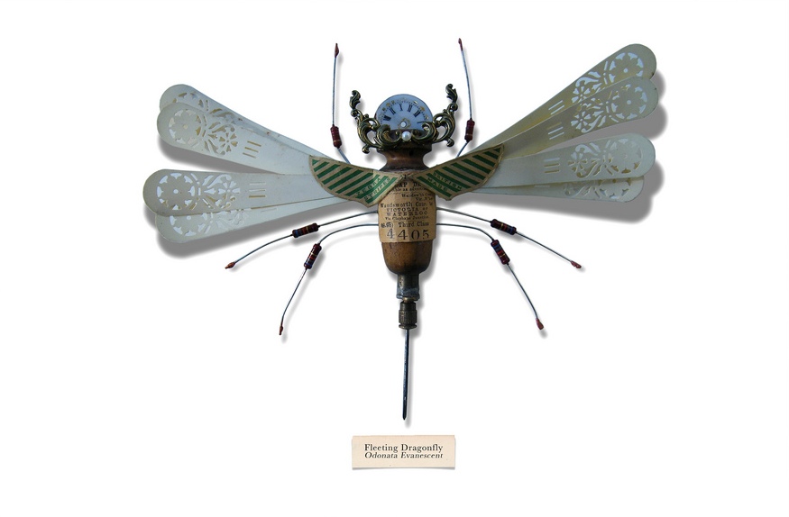 Simply Creative Litter Bugs by Mark Oliver