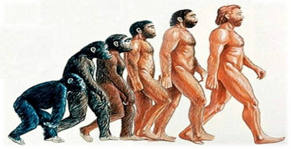 Faz 157 anos que Darwin publicou a Teoria da Evolução