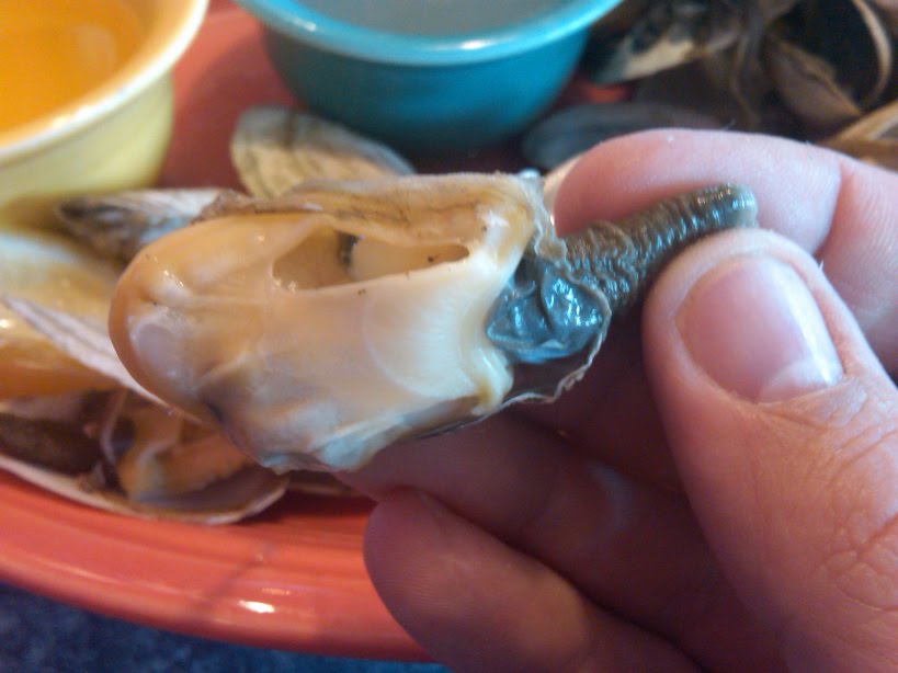 Ponderings of the pensive percussionist How to eat steamed clams