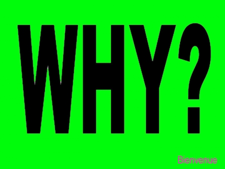 why-punta-perla.jpg