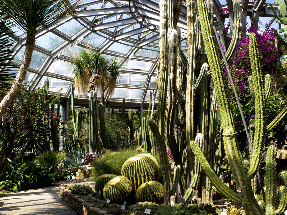 das Blog The Botanical Garden in Berlin ( Botanischer