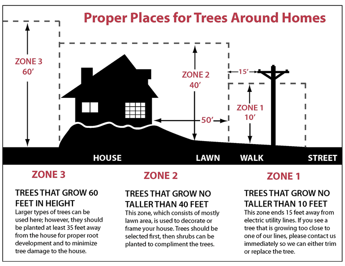 Reubens Lawn Care Proper Placement of Trees in Landscape Design