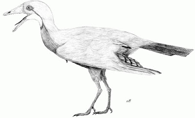 Cathayornis