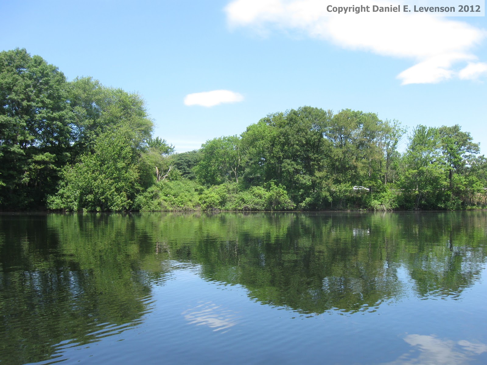 New England Nature Notes Birding by Kayak Lake Cochituate in Natick, MA