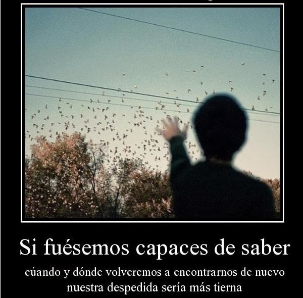 frases cortas de despedida de amor fraces de despedidas de amor imagui frases cortas de despedida de amor fraces de despedidas de amor imagui