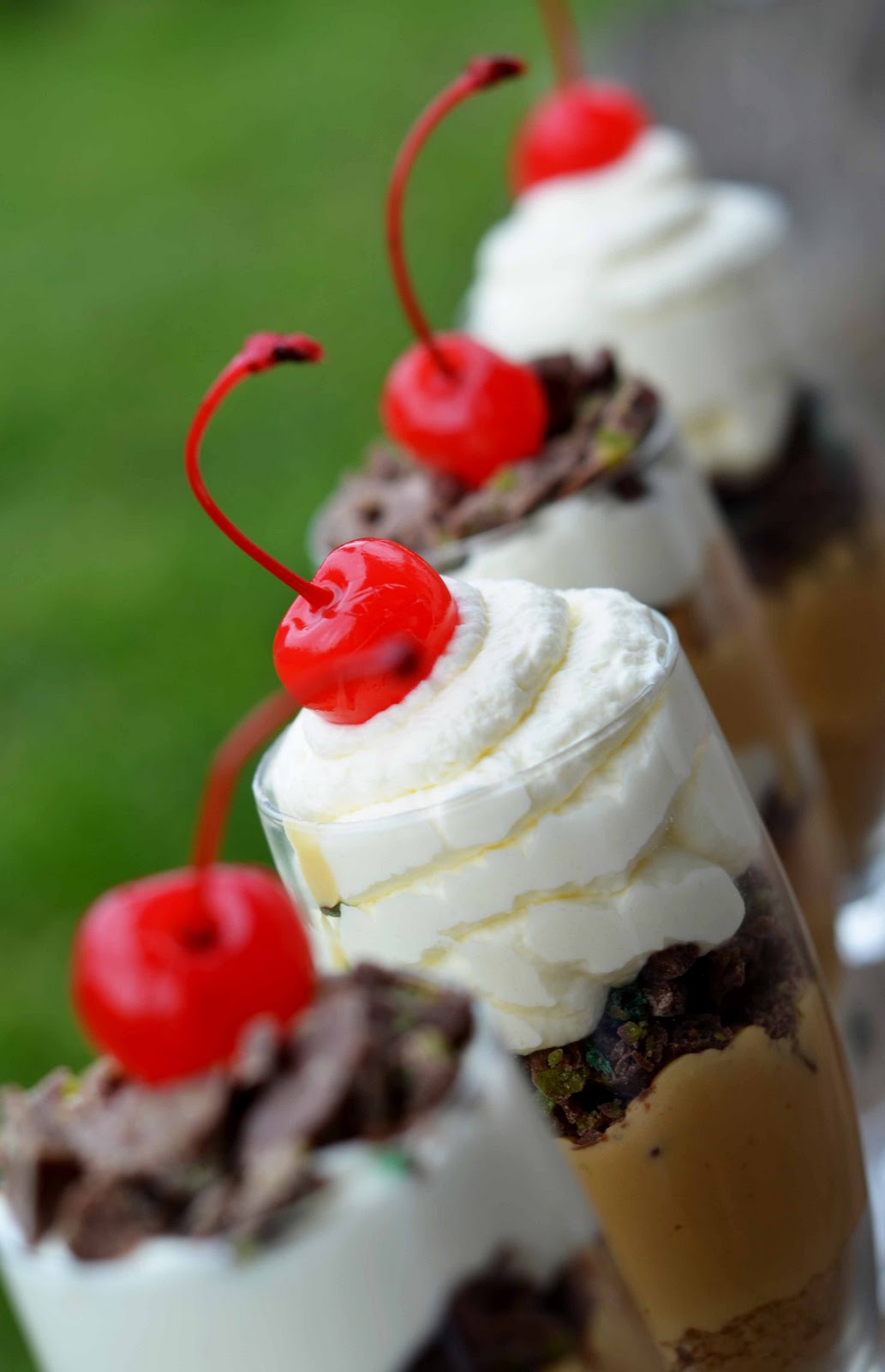 Peppermint Crisp Dessert — Bits of Sunshine