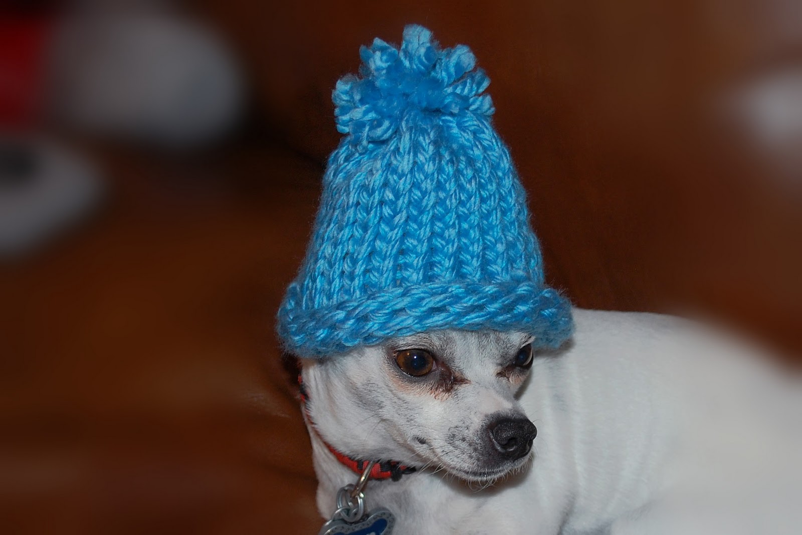 Posh Pooch Designs Dog Clothes Learming To Use the Knitting Looms