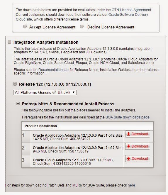 Satyanarayana Jalluri Installing Rightnow Adapter
