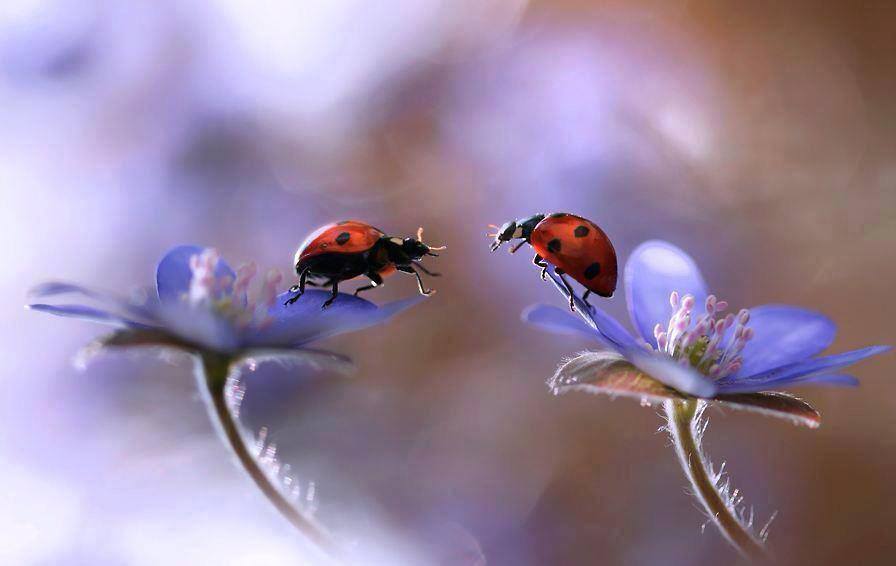 rencontre sans attirance