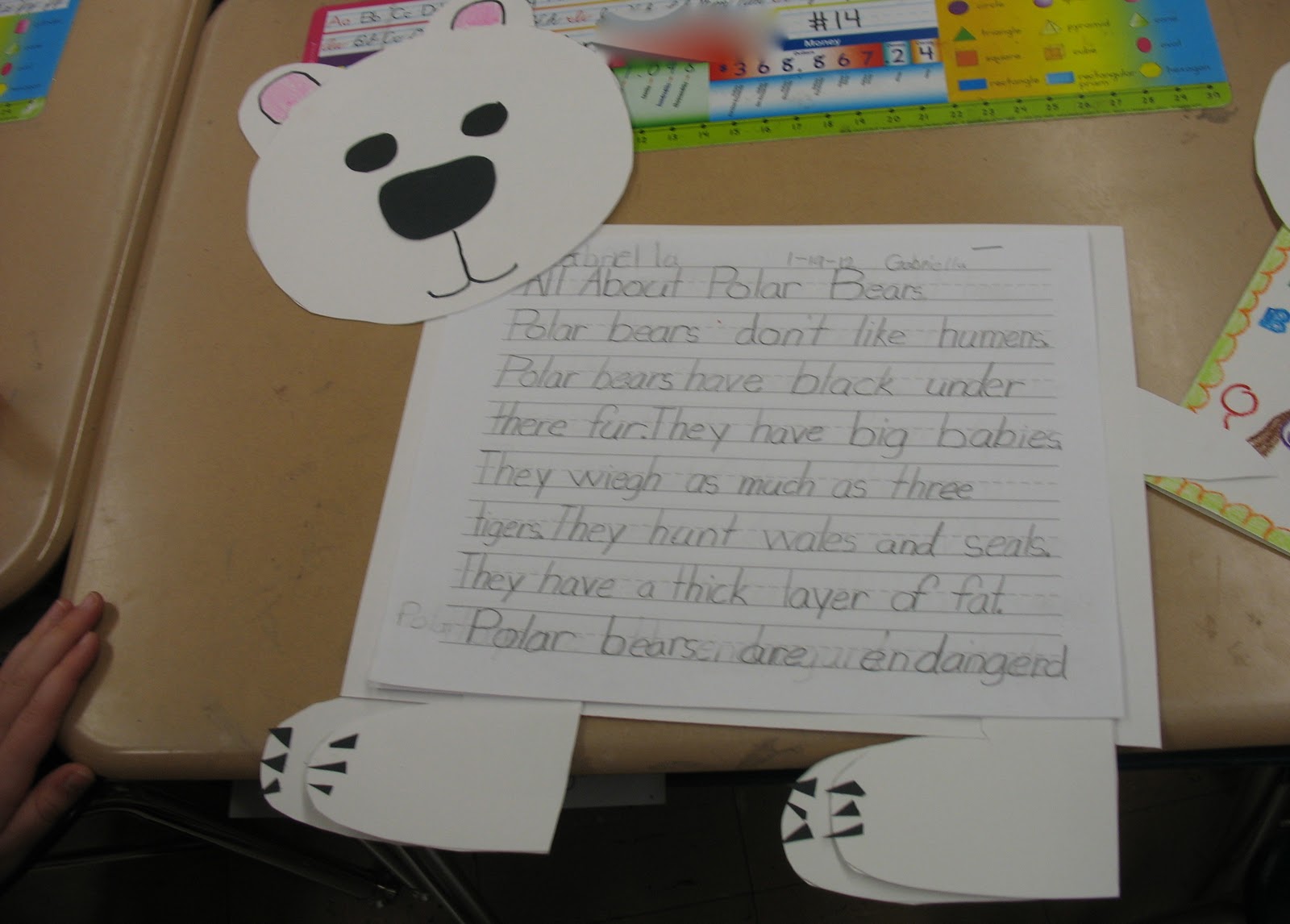 Polar bear extinction essay picture