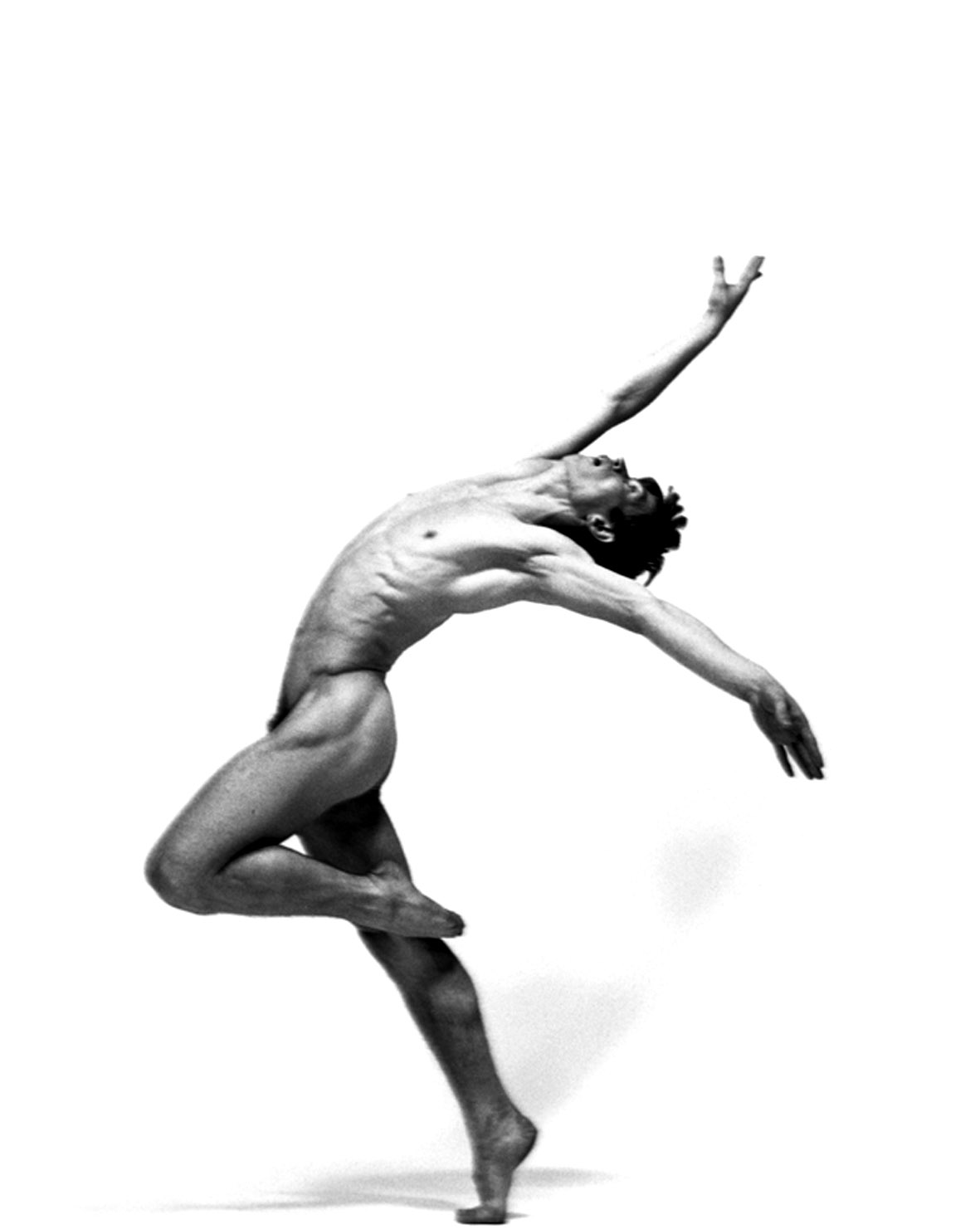 Male ballet accedntal bonert compilations