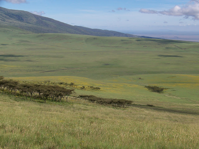 Ngorongoro Crater Tembea Tanzania