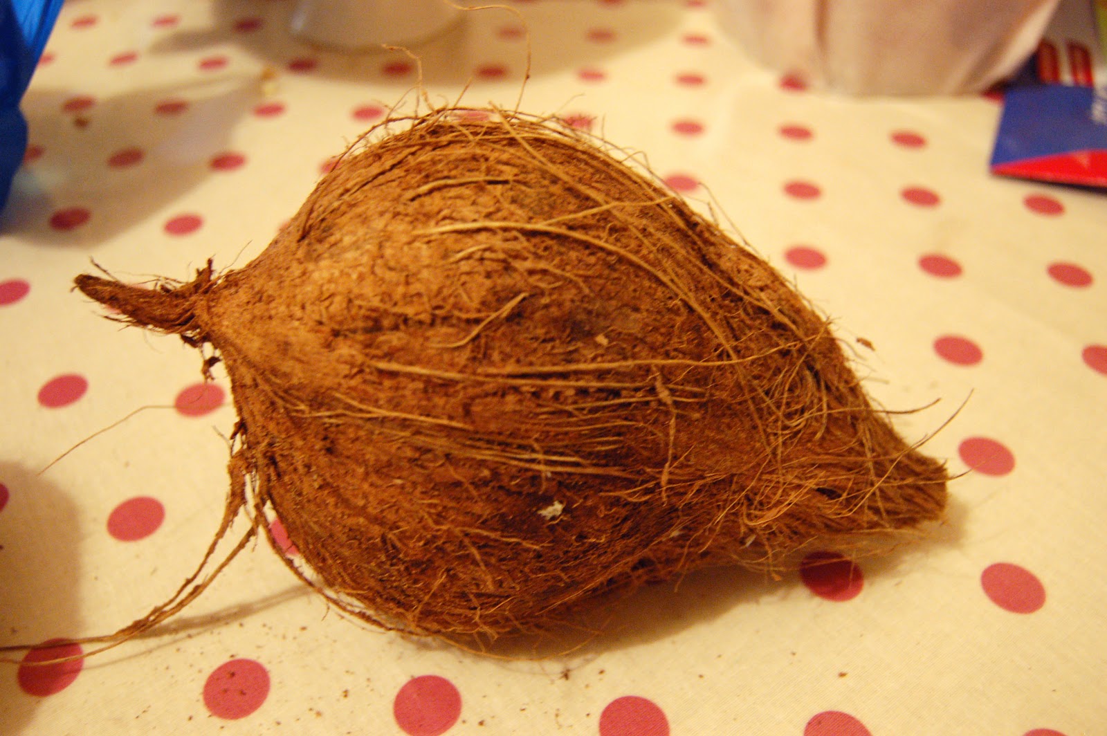 Paper Yak How to make a Coconut Bra [Photo Heavy]