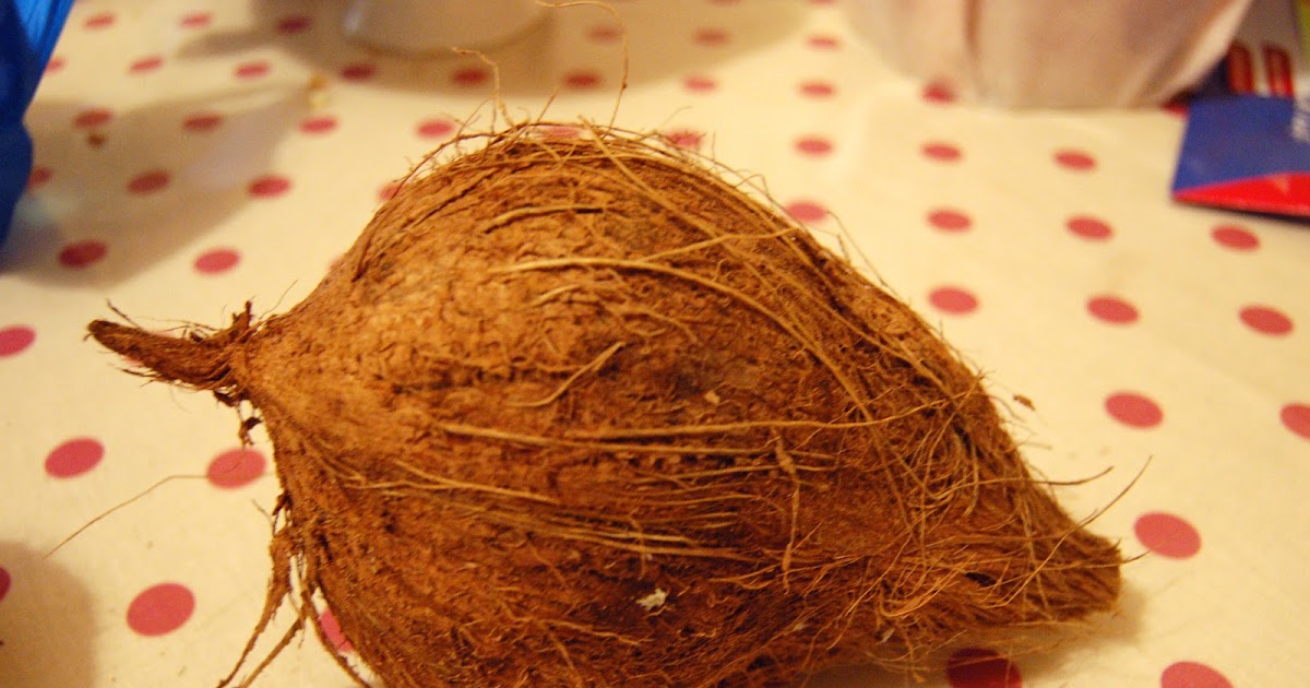 Paper Yak How to make a Coconut Bra [Photo Heavy]