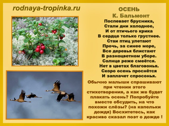 Какой сюрприз сделать мужу на годовщину нашей свадьбы Какой сюрприз сделать мужу на годовщину нашей свадьбы