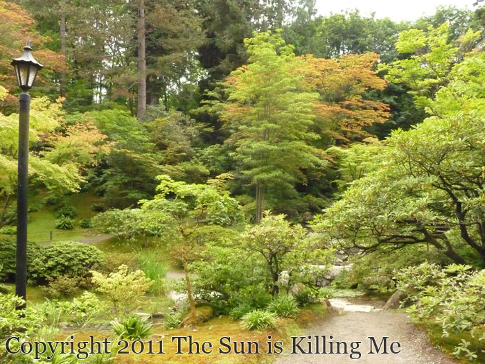 The Sun is Killing Me: Seattle Japanese Garden