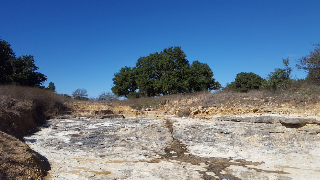 Esoterizona Fossil Hunting in the Texas Hill Country