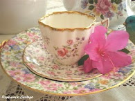 Vintage Chintz