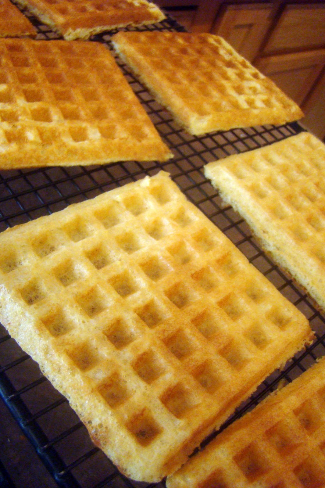Nourished and Nurtured Homemade Freezer Waffles (soaked whole grain