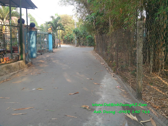 Bán đất phường Phú Hòa TDM BD, Ban dat phuong phu hoa TDM BD