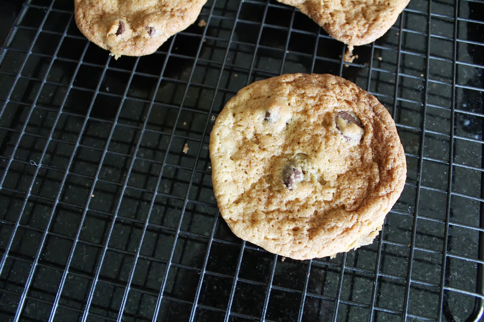 Got Cake? onebowl toaster oven chocolate chip cookies.