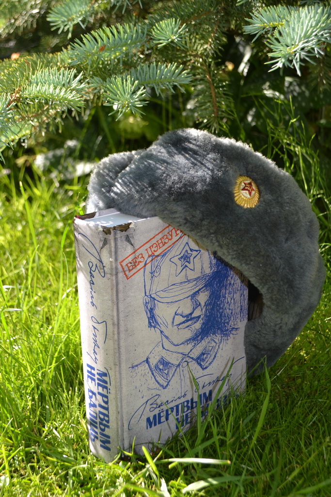 Скачать книгу мертвым не больно быков