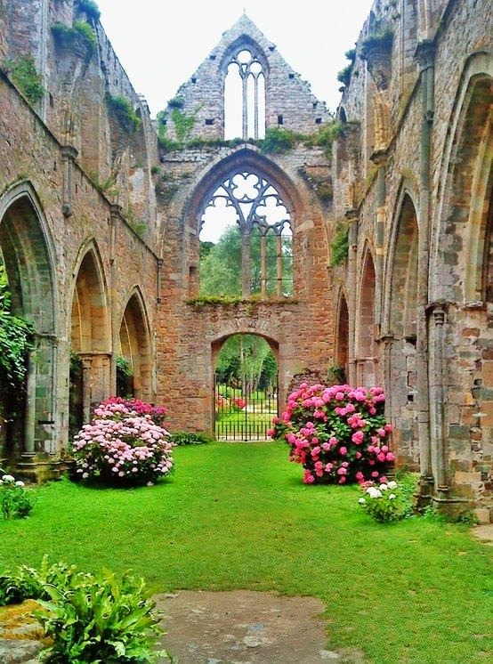 Beautiful Garden and The Castle Photos Hub