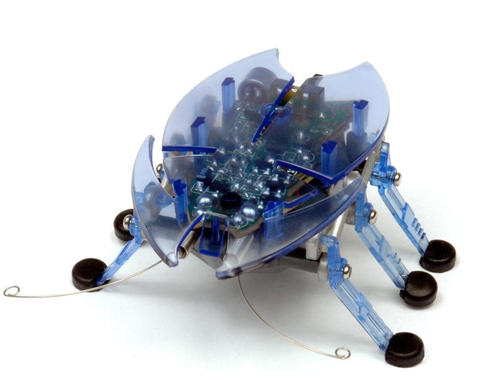 hexbug near me
