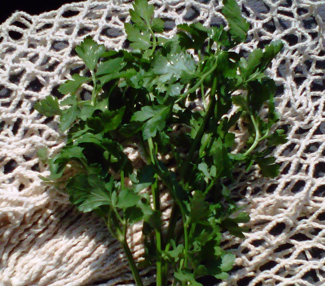 The Daily Detox The Power of Herbs Parsley