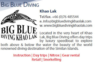 big blue diving