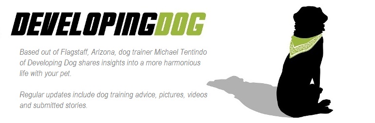Flagstaff Dog Training - The Developing Dog Way