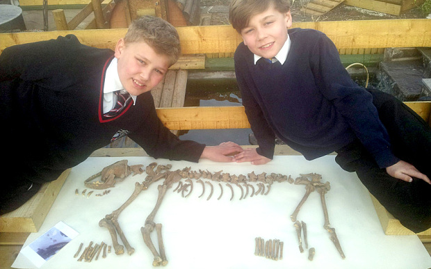 White Wolf : Father digs up garden to build duck pond and finds prehistoric  wolf skeleton