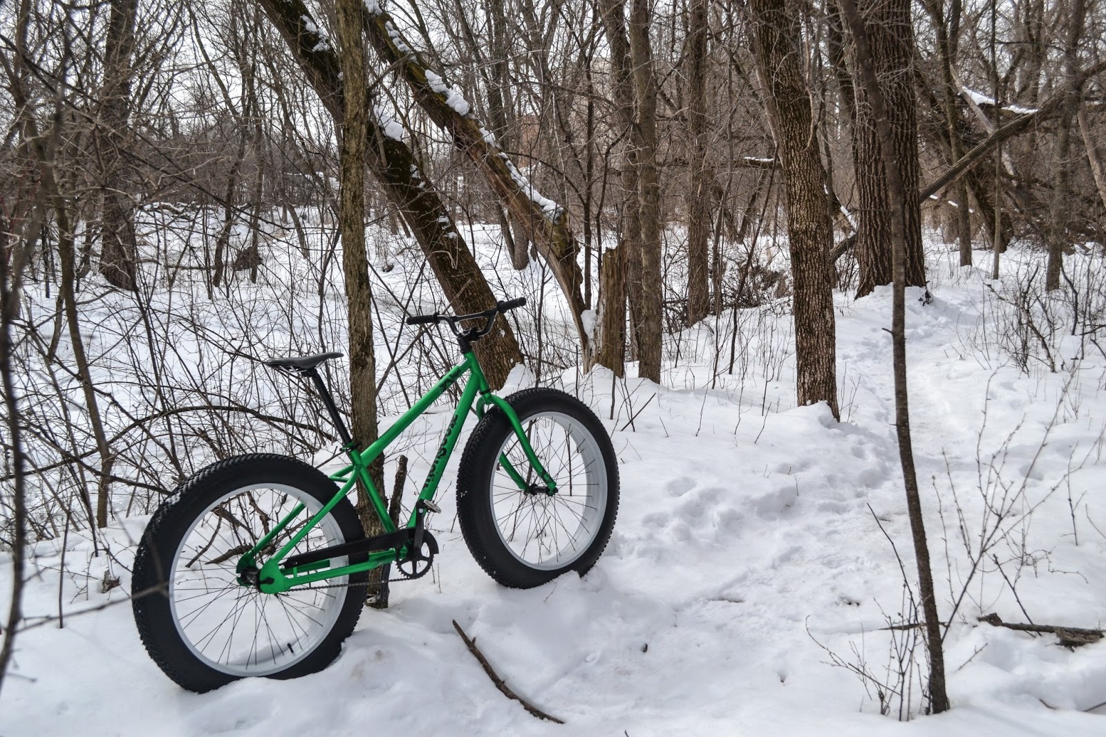 Fat Bike