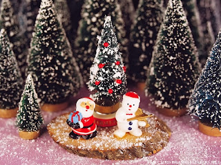 Santa-Claus-and-Snowman-800-103938