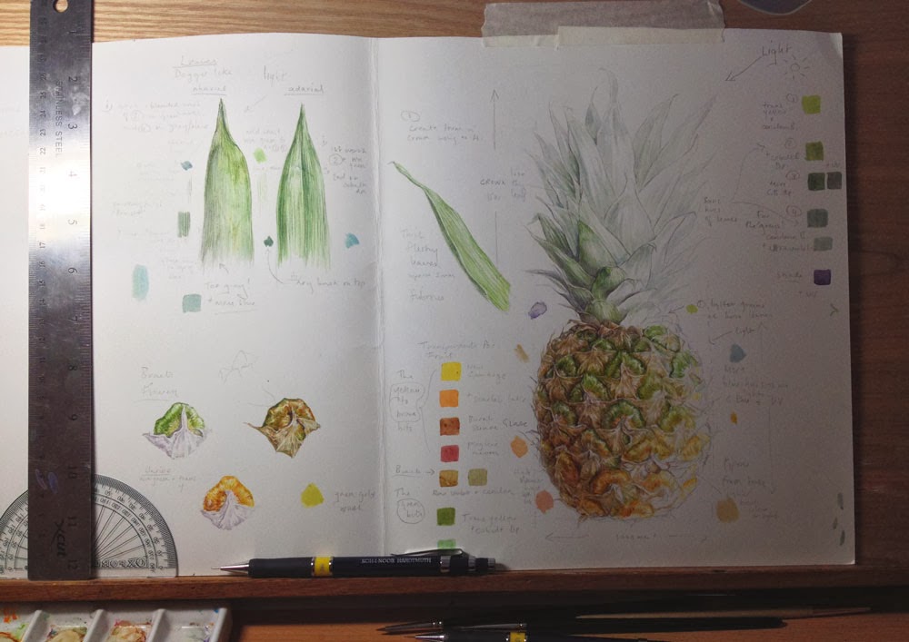 pineapple study page