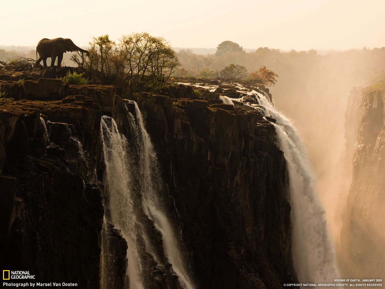 Adam's Amazing Book Elephant At Victoria Falls