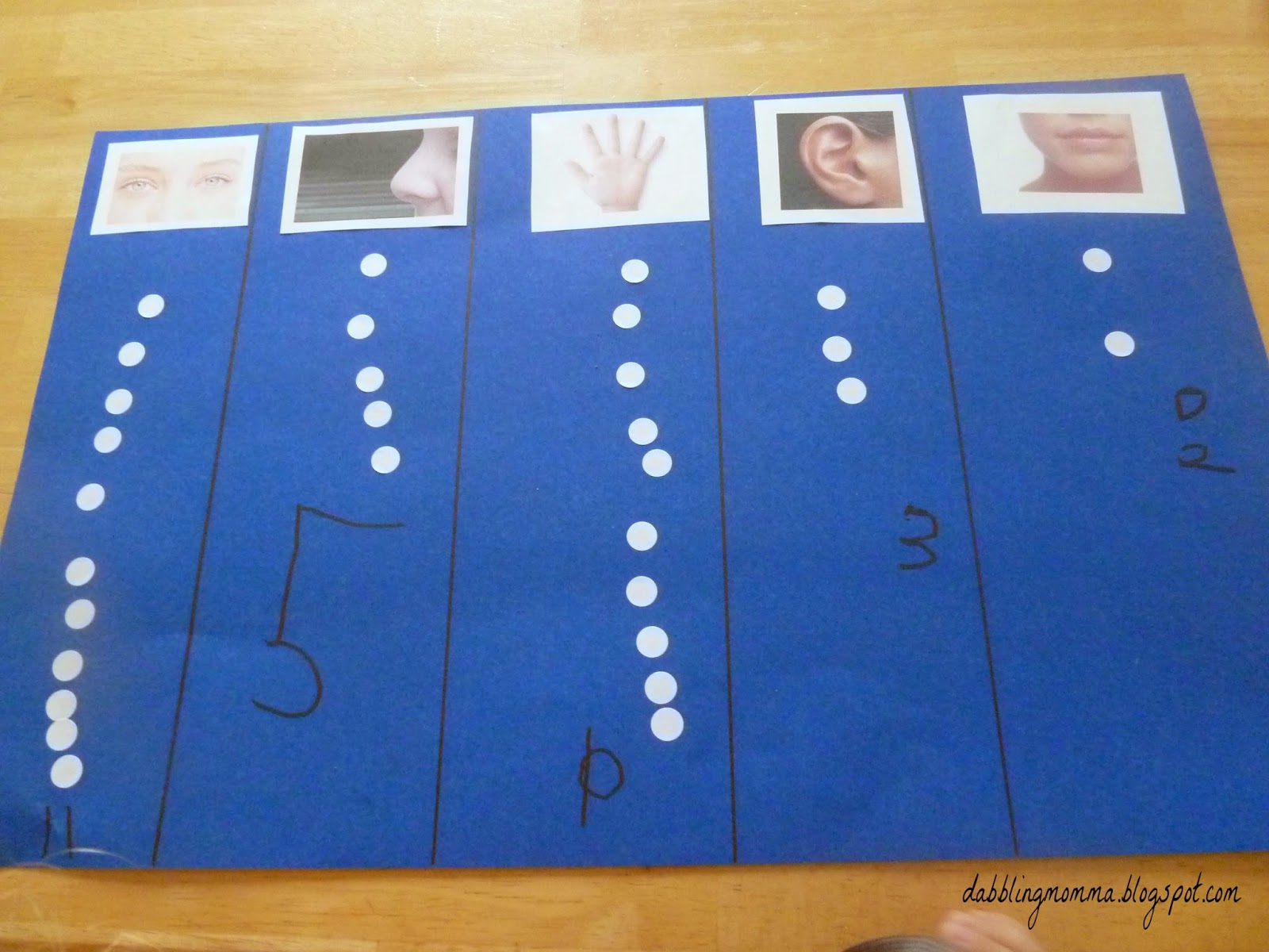 Dabblingmomma: Learning About Our 5 Senses