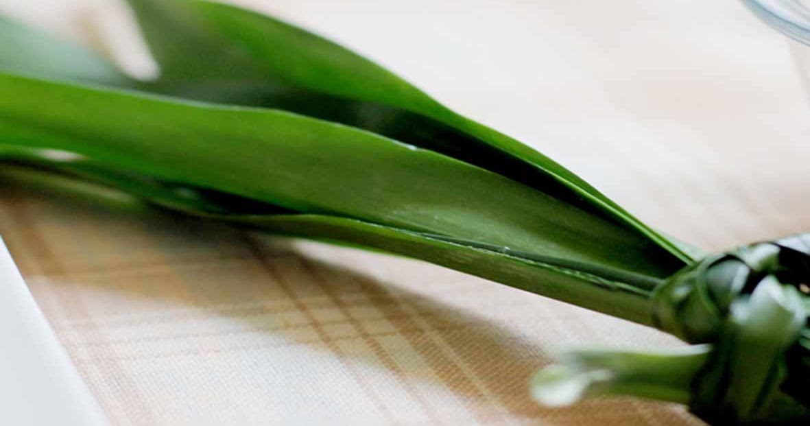 Manfaat Daun Pandan Wangi untuk Kesehatan dan Merawat Rambut