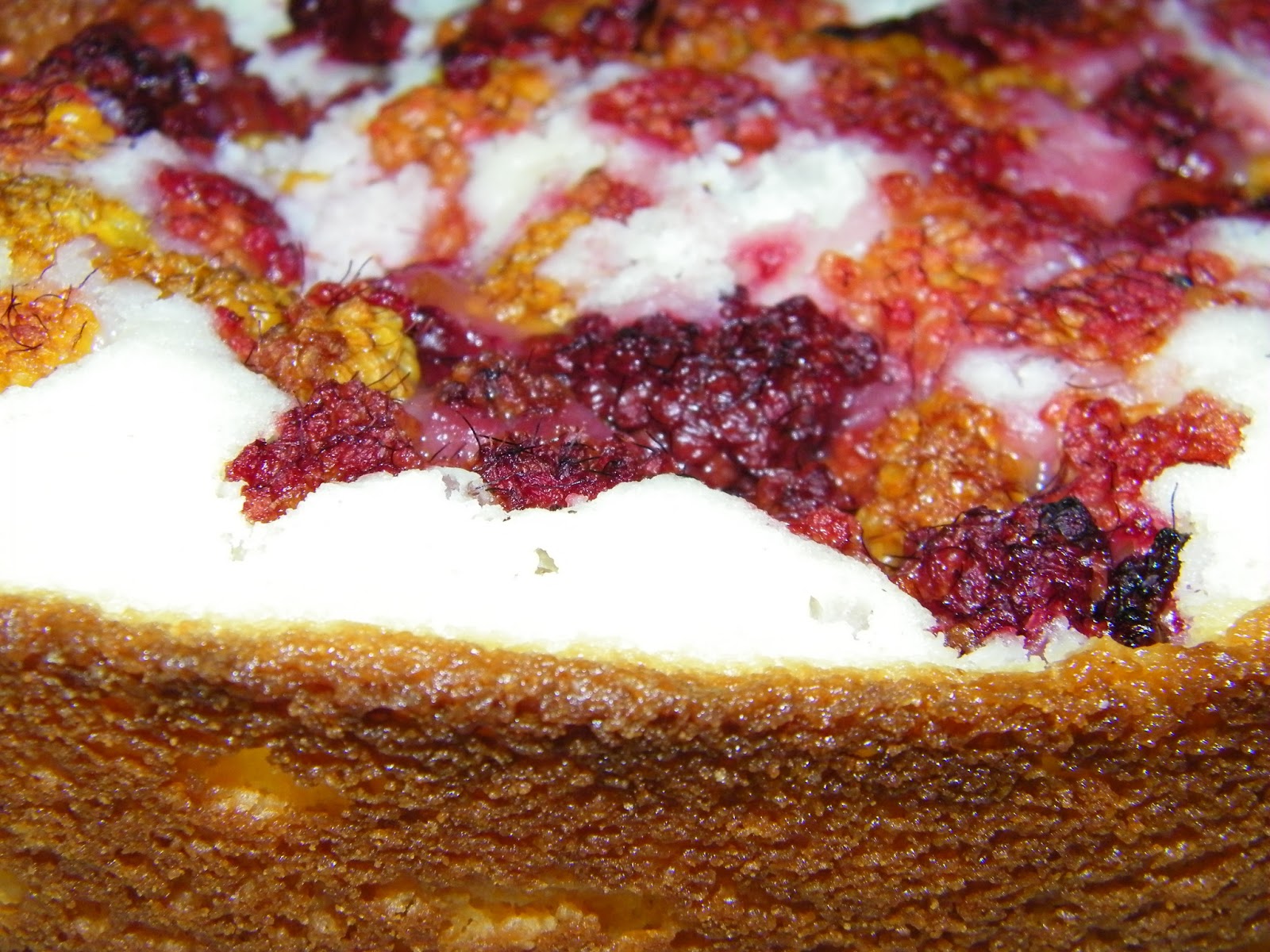 Homemade Salmonberry Cake THE APRON