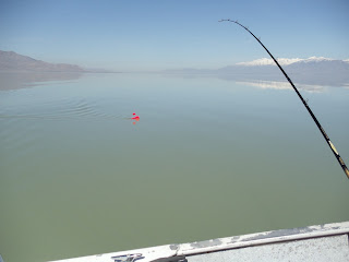 Planer Board Walleye Fishing Utah Lake