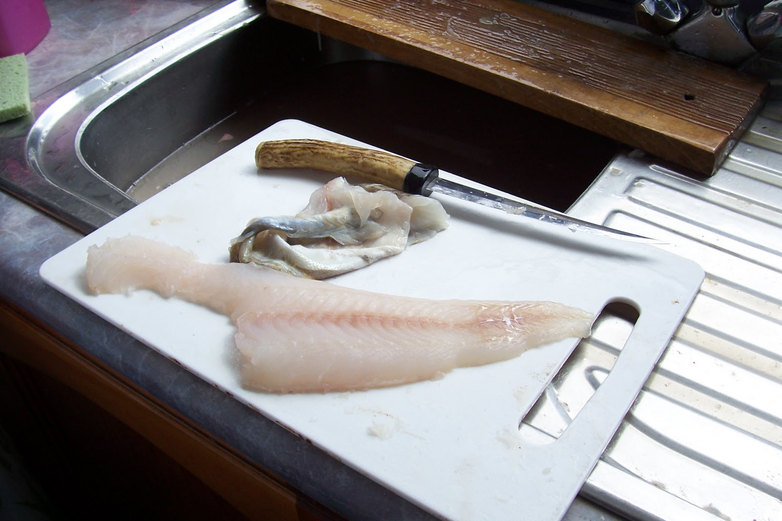 BUZZARD BUSHCRAFT Skinning Fish