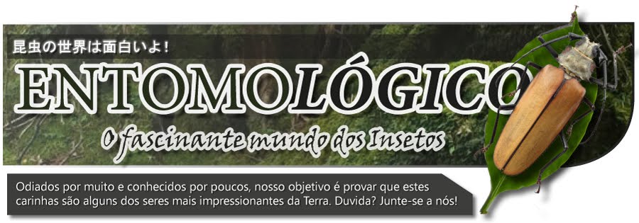 Entomológico – O Fascinante Mundo dos Insetos