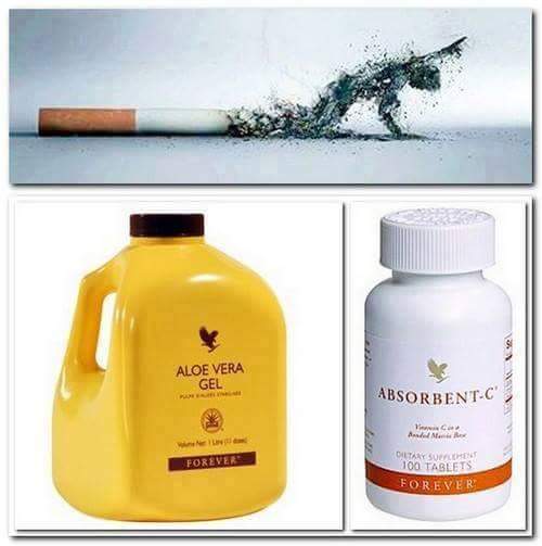 Aloe Vera Rauchen 4everliving2us testimoni prof dr ab aziz forever aloe Aloe Vera Rauchen 4everliving2us testimoni prof dr ab aziz forever aloe