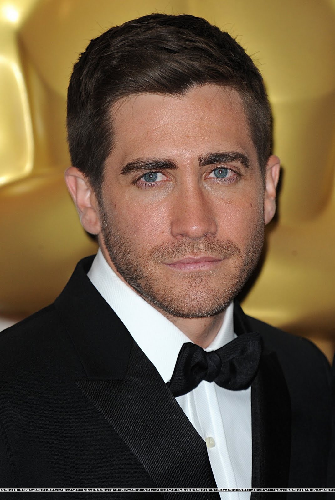 WEIRDLAND Jake Gyllenhaal in good company at the 83rd Academy Oscars