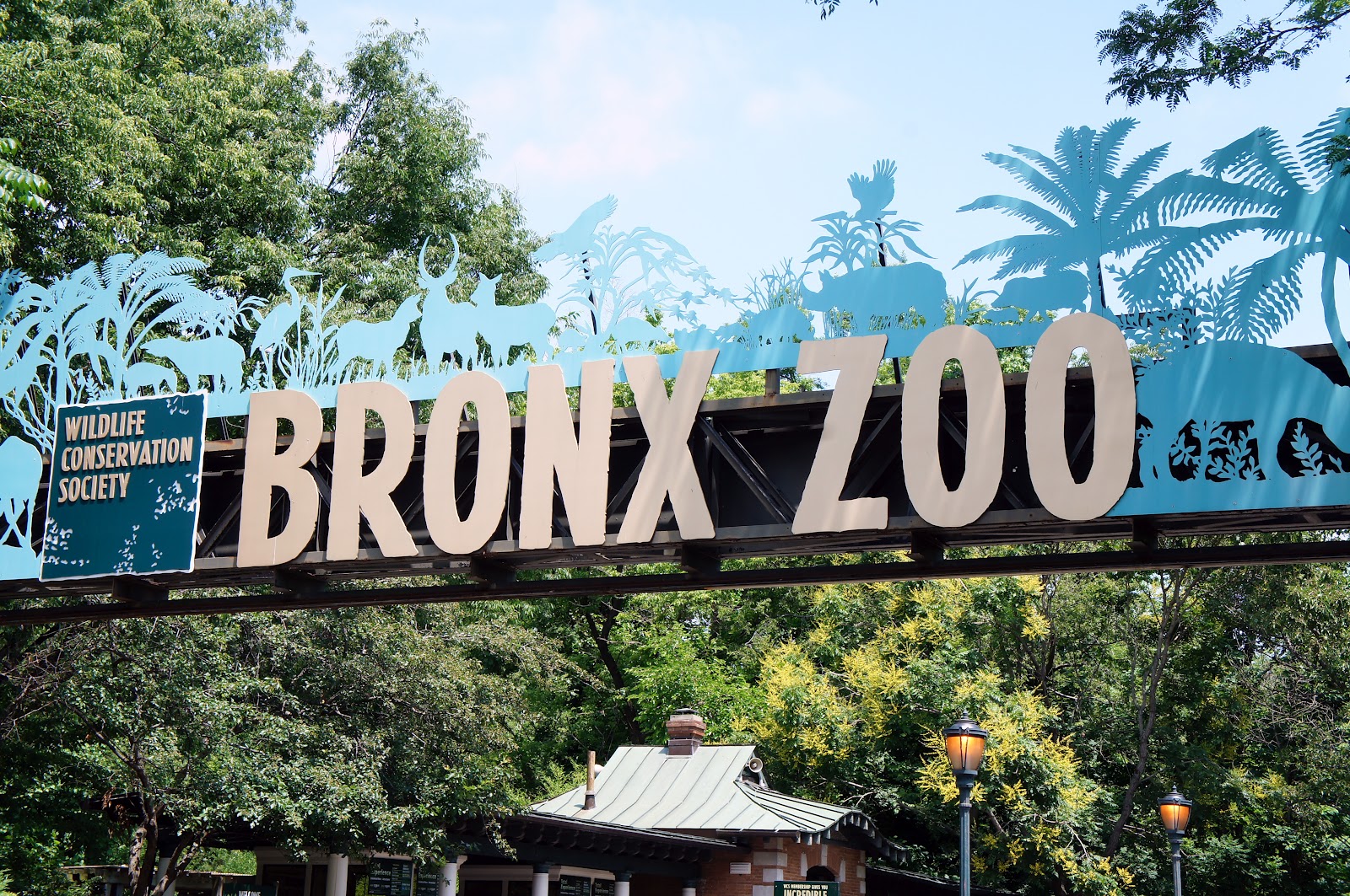 bronx zoo- june 2012 | Hello from NYC