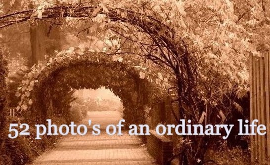 52 photo's of an ordinary life