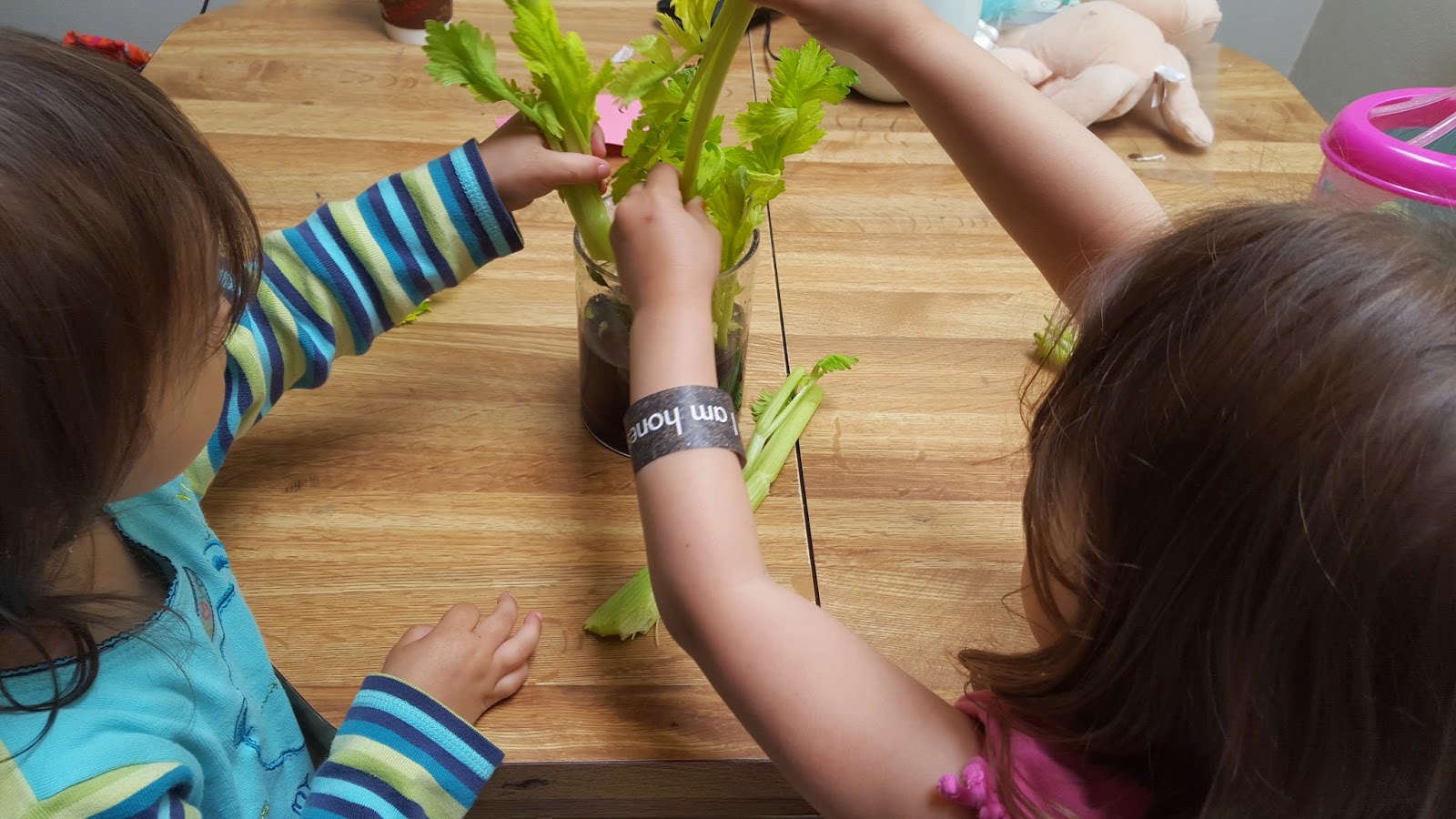 Chicken Nugget Mom Celery Magic!