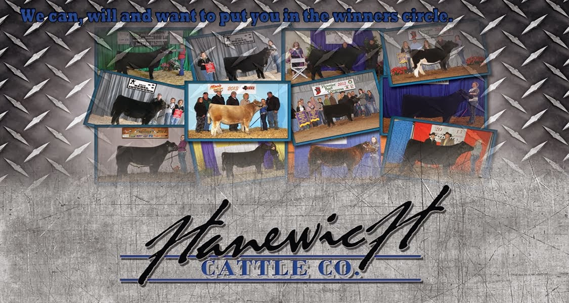 Hanewich Cattle Company